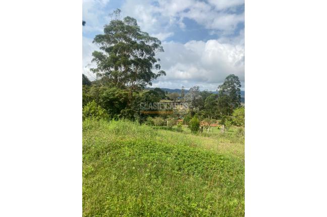 Lotes, Venta, Dagua - $250.000.000