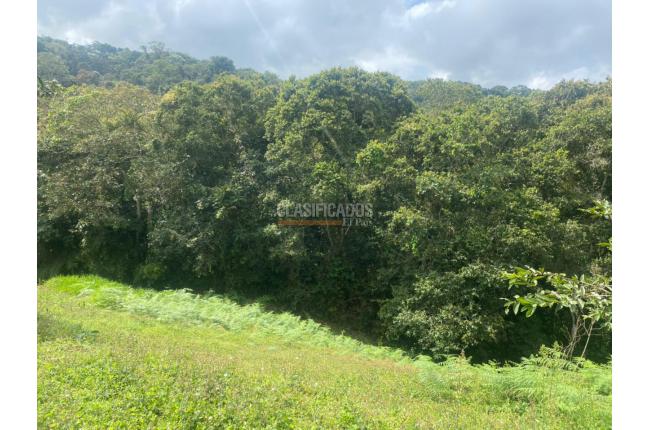 Lotes, Venta, Dagua - $250.000.000