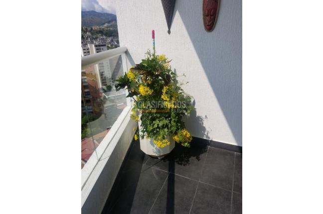 Apartamentos, Venta, Santa Teresita - $850.000.000