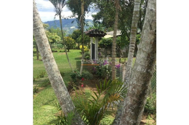 Fincas y Casas Campestres, Venta, Calima (Darién) - $1.200.000.000