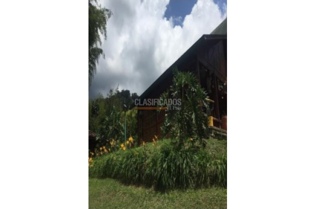 Fincas y Casas Campestres, Venta, Calima (Darién) - $1.200.000.000