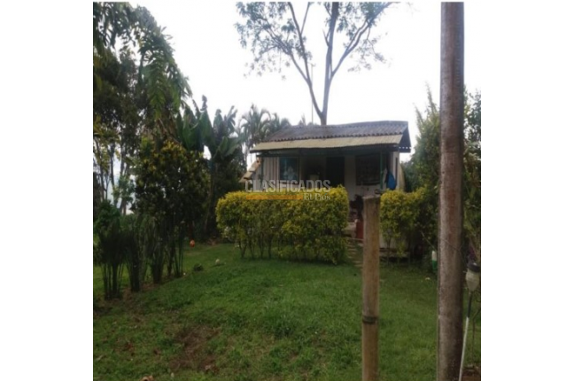 Fincas y Casas Campestres, Venta, Calima (Darién) - $1.200.000.000