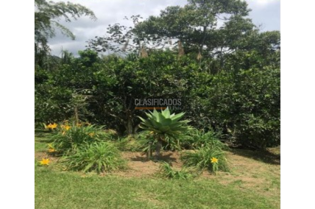 Fincas y Casas Campestres, Venta, Calima (Darién) - $1.200.000.000