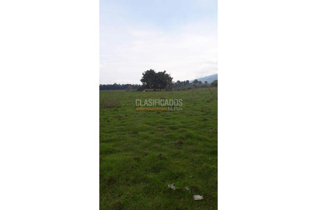 Lotes, Venta, Calima (Darién) - $1.326.120.000