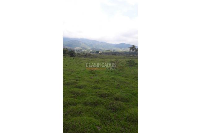 Lotes, Venta, Calima (Darién) - $1.326.120.000