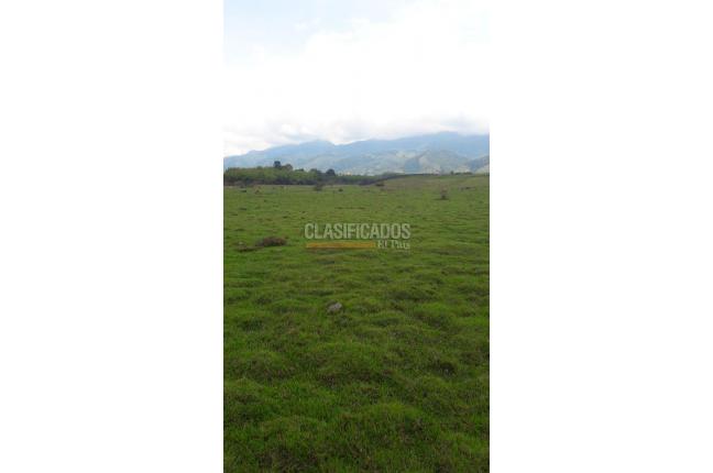 Lotes, Venta, Calima (Darién) - $1.326.120.000