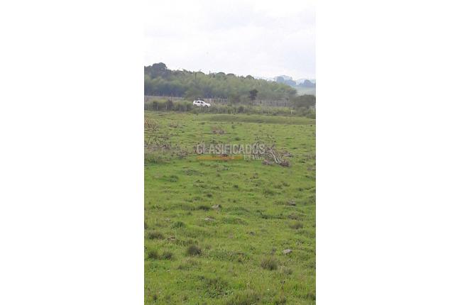 Lotes, Venta, Calima (Darién) - $1.326.120.000