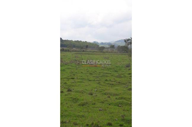 Lotes, Venta, Calima (Darién) - $1.326.120.000
