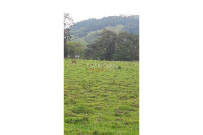 Lotes, Venta, Calima (Darién) - $1.326.120.000