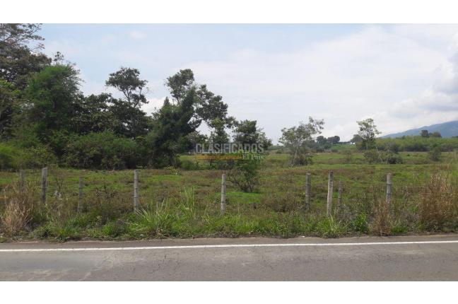 Lotes, Venta, Calima (Darién) - $1.326.120.000