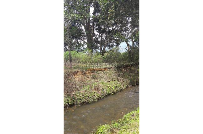 Lotes, Venta, Calima (Darién) - $1.326.120.000