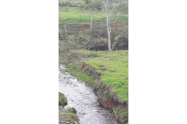 Lotes, Venta, Calima (Darién) - $1.326.120.000