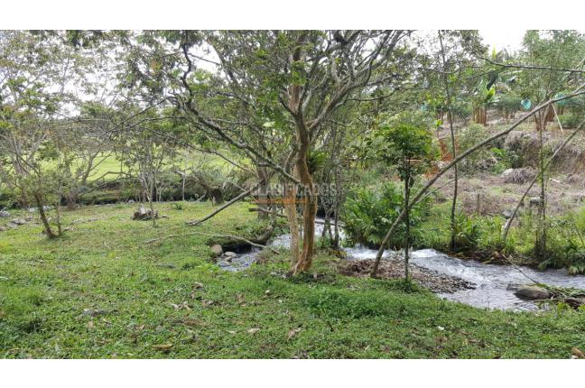 Fincas y Casas Campestres, Venta, Calima (Darién) - $1.495.290.000