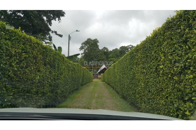 Fincas y Casas Campestres, Venta, Calima (Darién) - $1.495.290.000