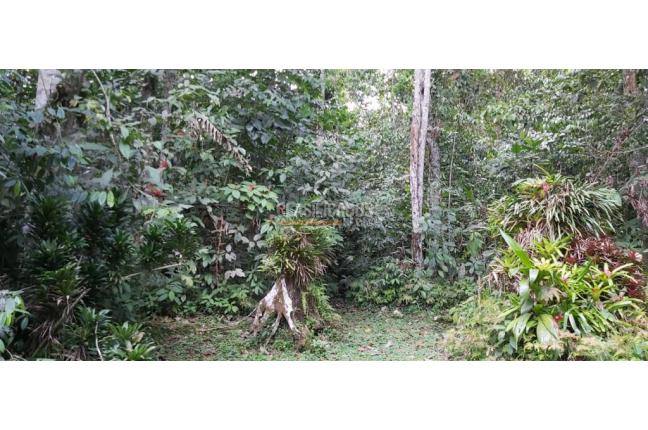 Fincas y Casas Campestres, Venta, Calima (Darién) - $1.495.290.000