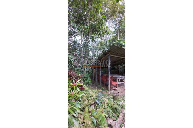 Fincas y Casas Campestres, Venta, Calima (Darién) - $1.495.290.000