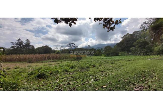 Fincas y Casas Campestres, Venta, Calima (Darién) - $1.495.290.000