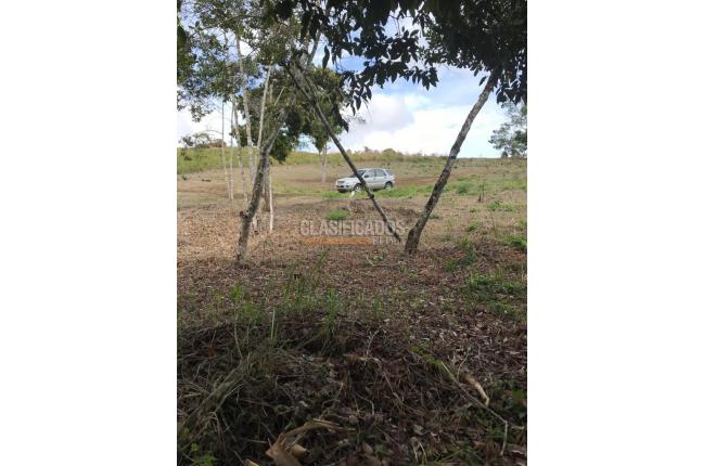 Lotes, Venta en Dagua