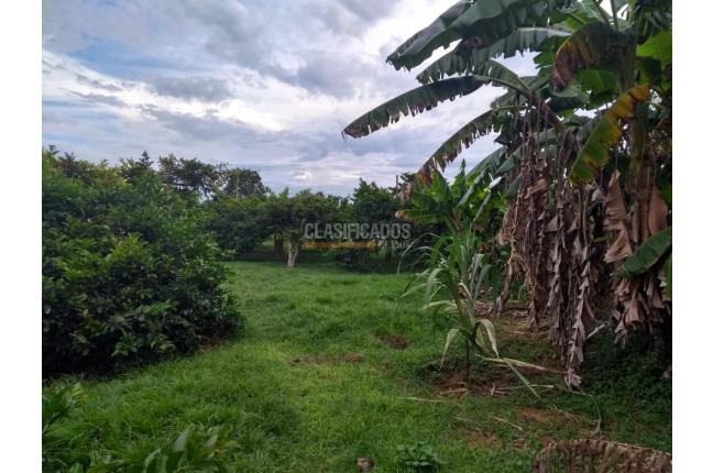 Fincas y Casas Campestres, Venta, La Unión - $500.000.000