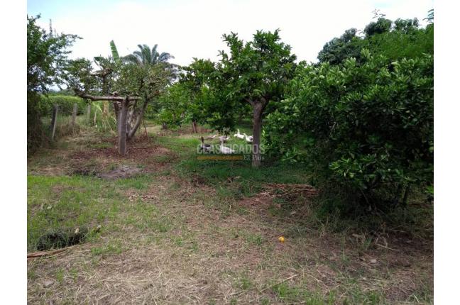 Fincas y Casas Campestres, Venta, La Unión - $500.000.000