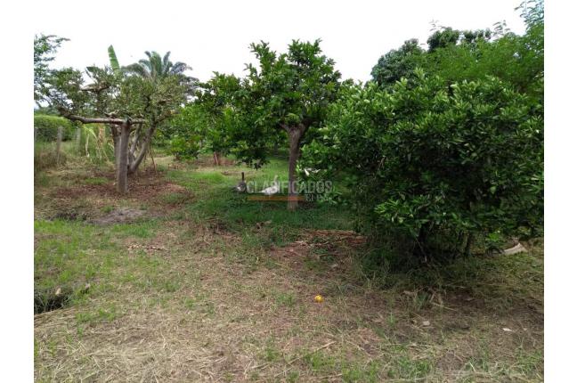 Fincas y Casas Campestres, Venta, La Unión - $500.000.000