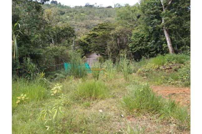 Lotes, Venta en Pance