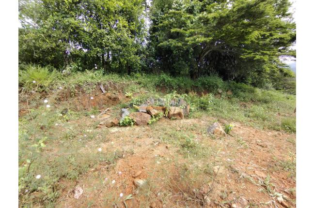 Lotes, Venta, Pance - $420.000.000