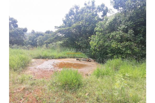 Lotes, Venta, Pance - $420.000.000