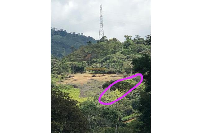 Lotes, Venta, Pance - $980.000.000