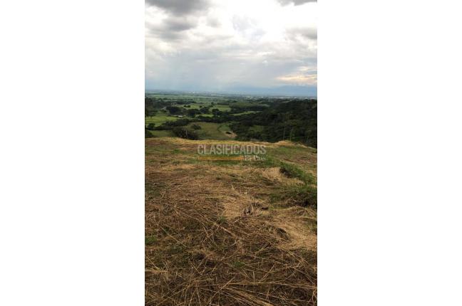 Lotes, Venta, Pance - $980.000.000