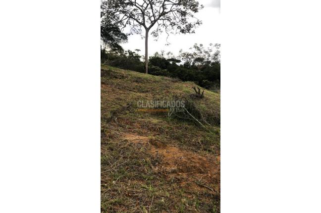 Lotes, Venta, Pance - $980.000.000