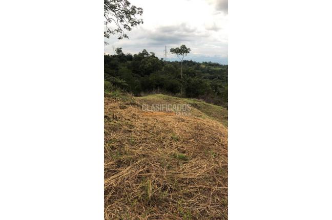 Lotes, Venta, Pance - $980.000.000