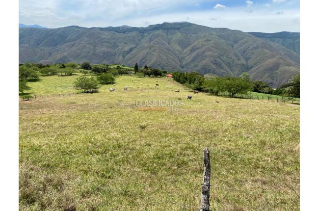 Fincas y Casas Campestres, Venta, Dagua - $1.700.000.000