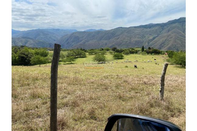 Fincas y Casas Campestres, Venta, Dagua - $1.700.000.000