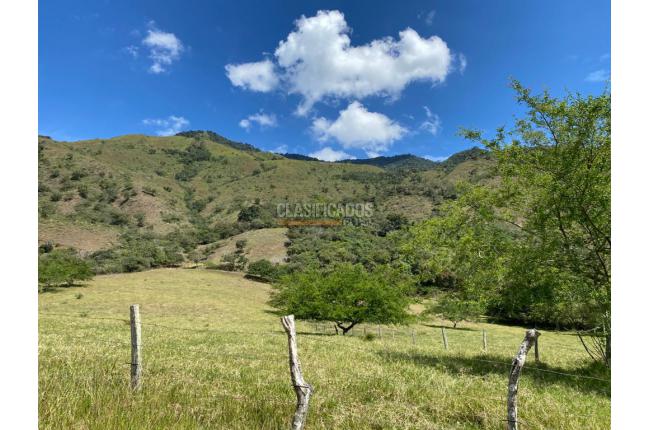 Fincas y Casas Campestres, Venta, Dagua - $1.700.000.000