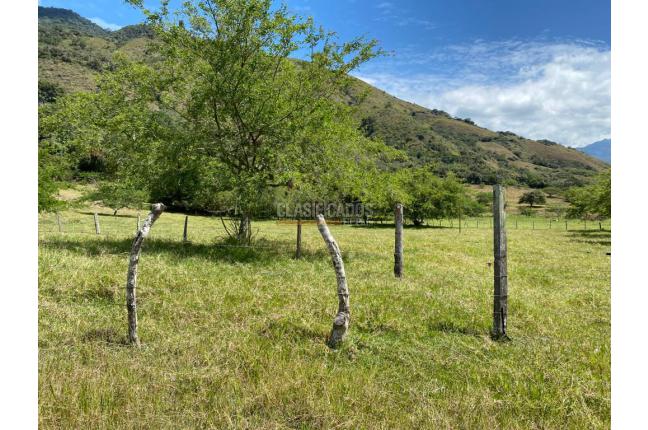 Fincas y Casas Campestres, Venta, Dagua - $1.700.000.000