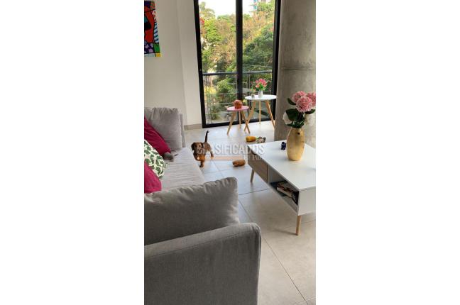 Apartaestudios, Venta, Santa Teresita - $370.000.000