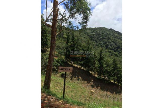 Fincas y Casas Campestres, Venta en La Leonera