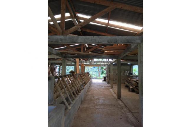 Fincas y Casas Campestres, Venta, La Leonera - $3.000.000.000