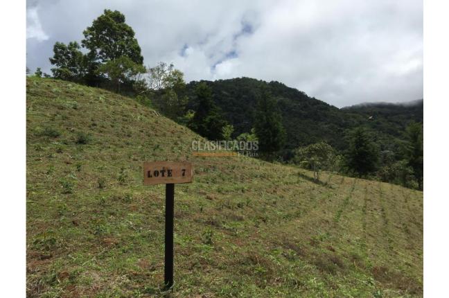 Fincas y Casas Campestres, Venta, La Leonera - $3.000.000.000