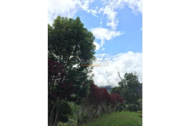 Fincas y Casas Campestres, Venta, La Leonera - $3.000.000.000