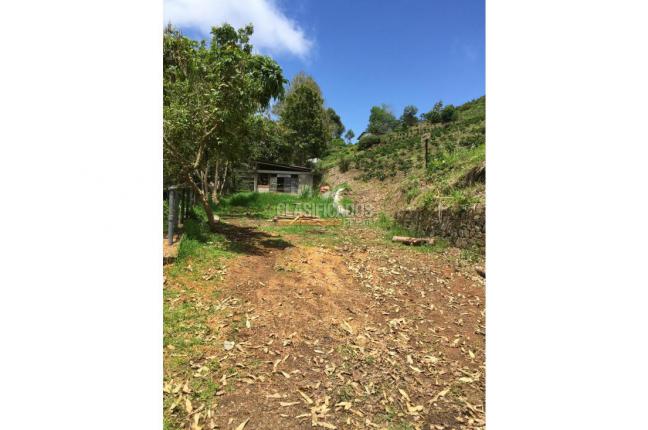 Fincas y Casas Campestres, Venta, La Leonera - $3.000.000.000