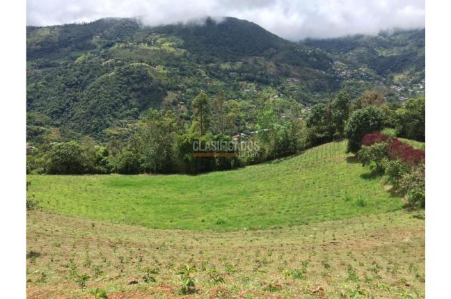 Fincas y Casas Campestres, Venta, La Leonera - $3.000.000.000