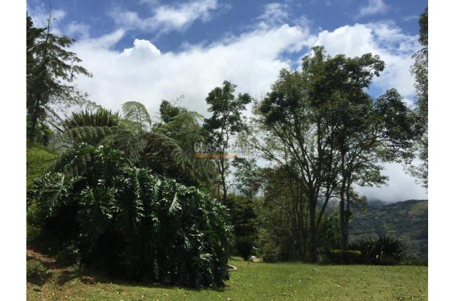 Fincas y Casas Campestres, Venta, La Leonera - $3.000.000.000