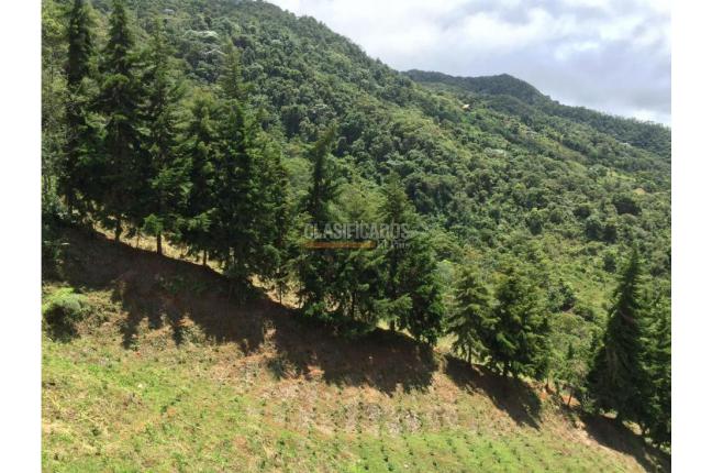 Fincas y Casas Campestres, Venta, La Leonera - $3.000.000.000