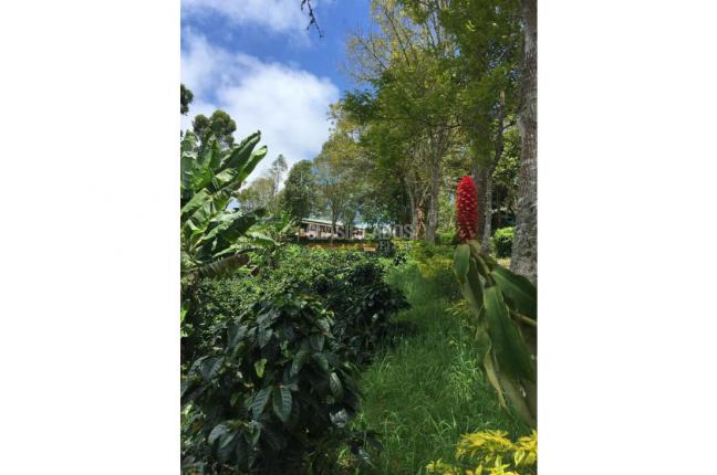 Fincas y Casas Campestres, Venta, La Leonera - $3.000.000.000