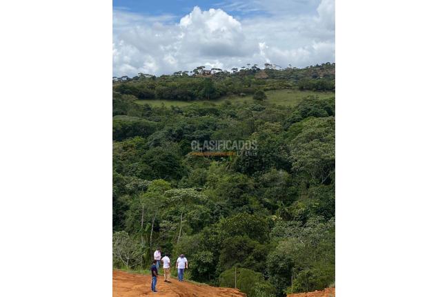 Lotes, Venta en Pance