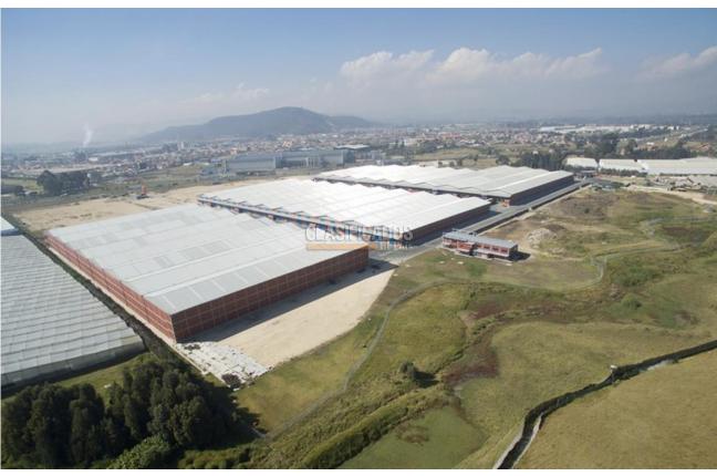 Locales y Bodegas, Alquiler, Madrid - $101.500.000