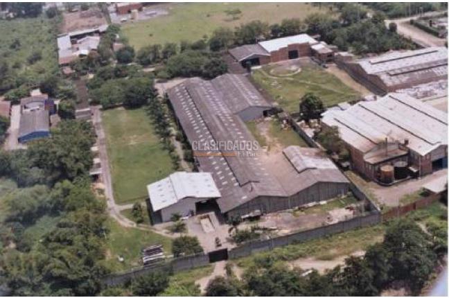 Locales y Bodegas, Venta en Palmira