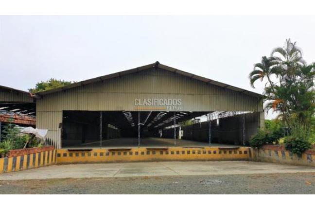 Locales y Bodegas, Venta en Palmira